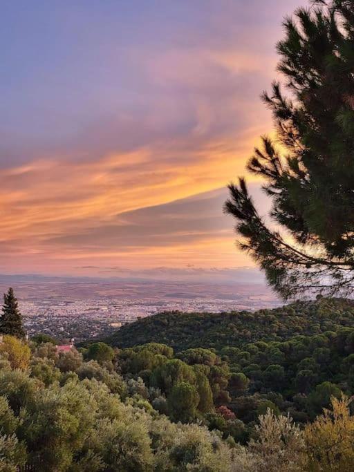 Vila Sombrerocordobe Córdoba Exteriér fotografie